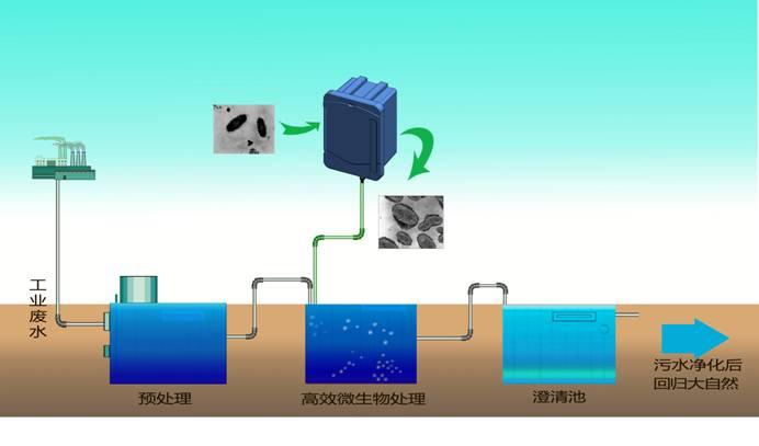 哪些廢水可采用生物處理